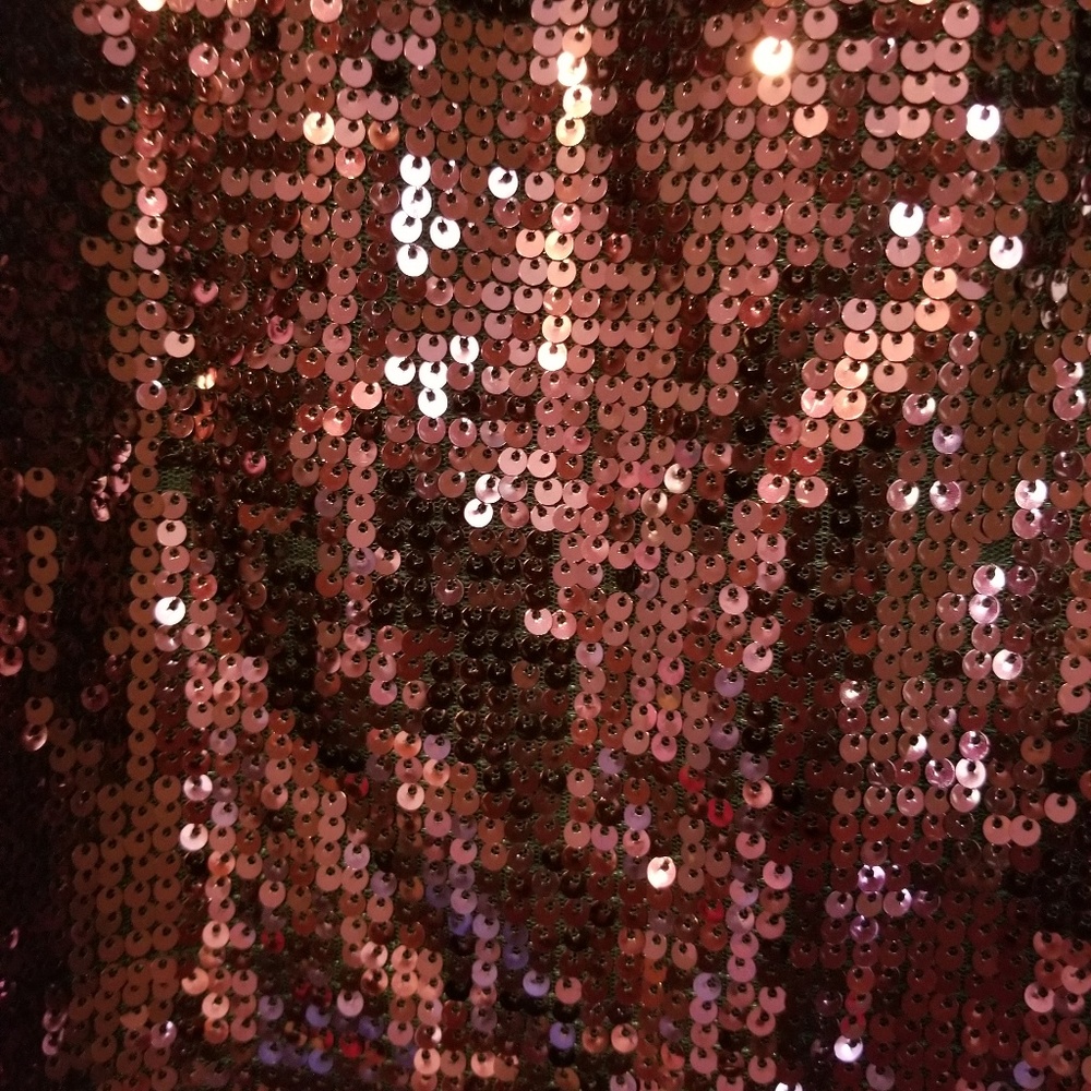APT. 9 Sequin Dress NWOT - Picture 3 of 4